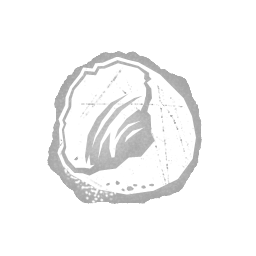 달걀 껍질 반쪽
