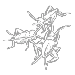 활기 넘치는 귀뚜라미