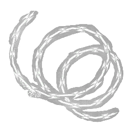 가시 철사줄